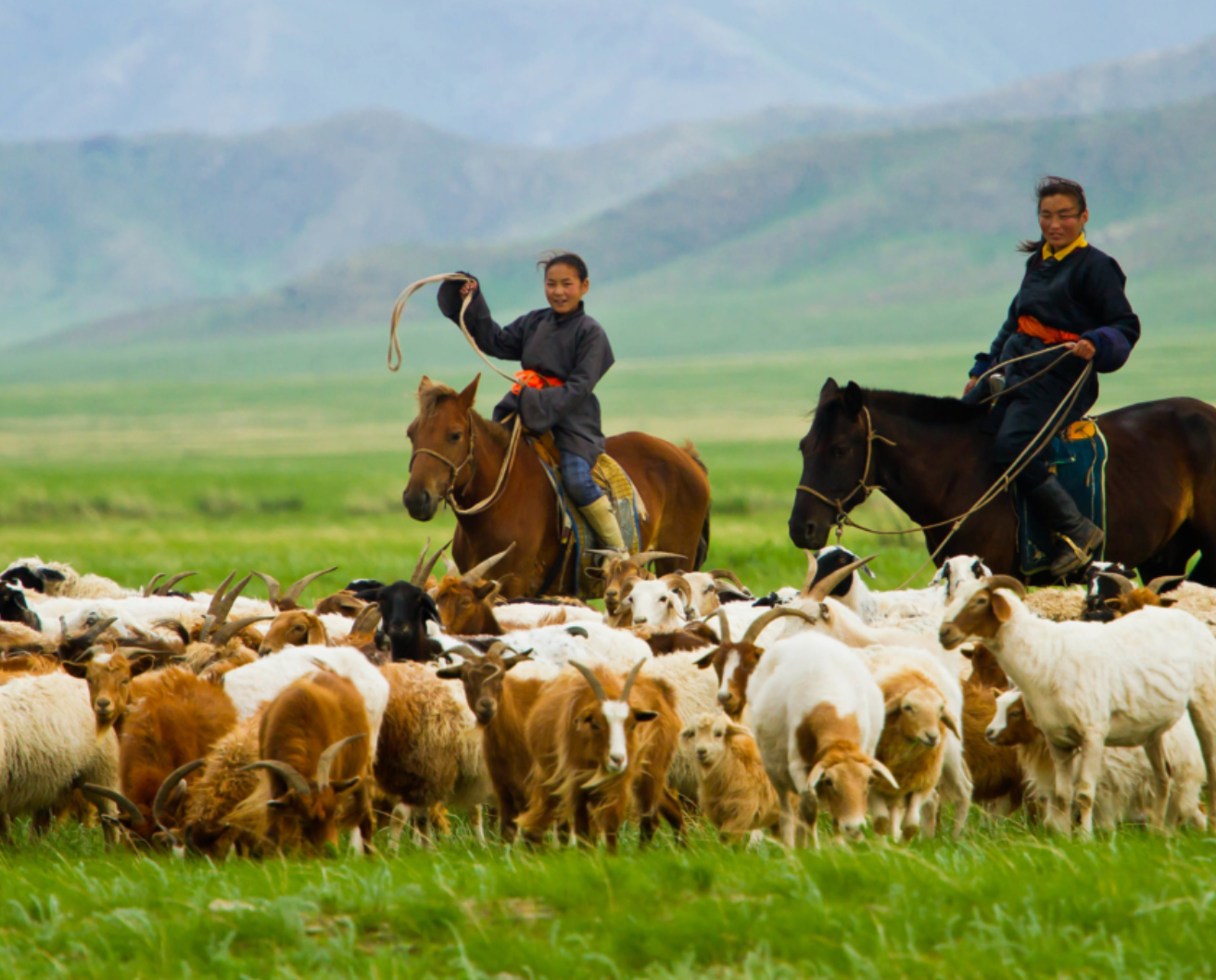 Нүүдэлчдийн ирээдүйг 